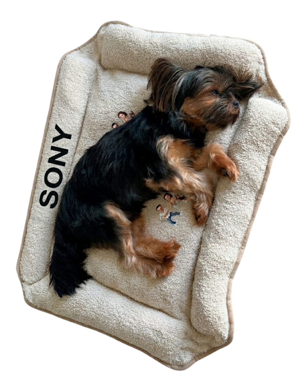 Cama para Mascota Acolchada y Personalizable - Cuna Lavable para Perros y Gatos Pequeños o Medianos